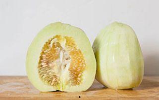 洋瓜不熟可以吃吗吗,能否食用揭秘