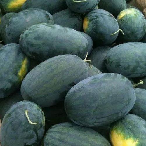 吃瓜好地方,尽享夏日清凉好去处