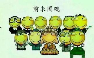 吃瓜群众0426,一场全民参与的舆论风暴