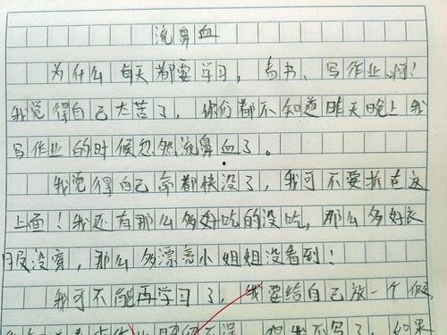 青娃吃瓜作文,一场夏日生态奇遇