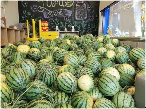 免费 吃瓜,揭秘娱乐圈幕后真相