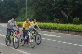 骑单车吃瓜,品味生活点滴——单车吃瓜记