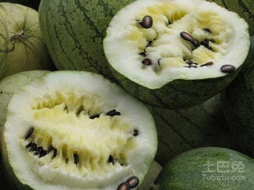 怀孕可以吃籽瓜,籽瓜助力健康孕育之旅