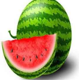 白天吃瓜会胖吗