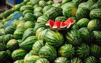 白天吃瓜会胖吗