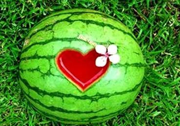 周公解梦买瓜吃瓜,买瓜吃瓜的寓意与启示